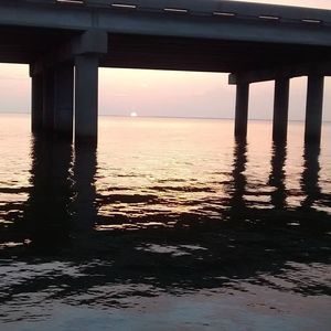 Meet your Posher, Ramona